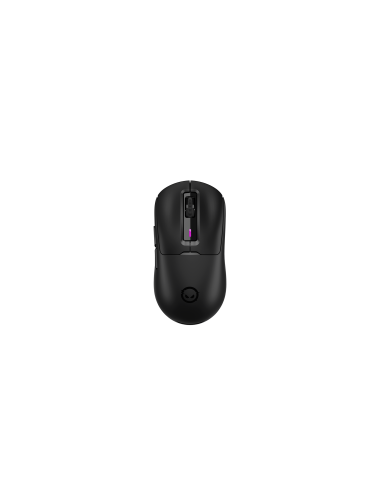 LORGAR MSA10W